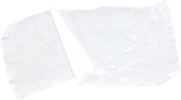 Ein einzelnes weißes Weichspüler-Trockenblatt, das teilweise auf einem einfarbig weißen Hintergrund gefaltet ist, erinnert an die klare Eleganz der Inspirationen von moderne hochzeitsfloristik und Event & Floral Design Hochzeit.